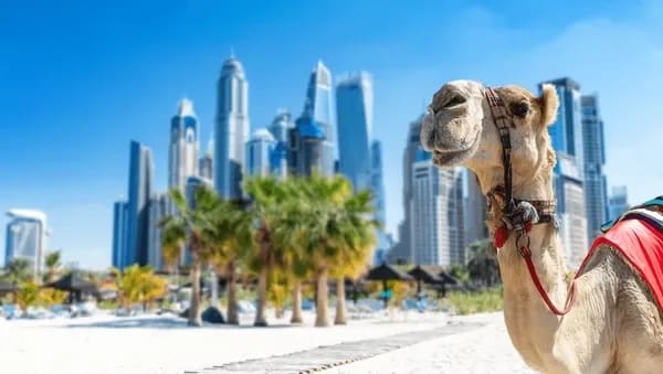 15 Days Saudi Dubai and Egypt Tour